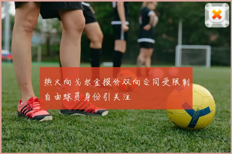 热火向戈尔金报价双向合同受限制自由球员身份引关注